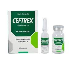 Ceftrex