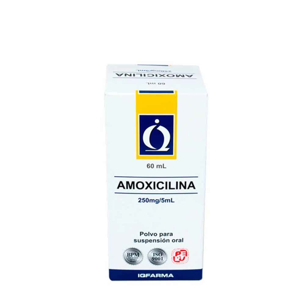 AMOXICILINA