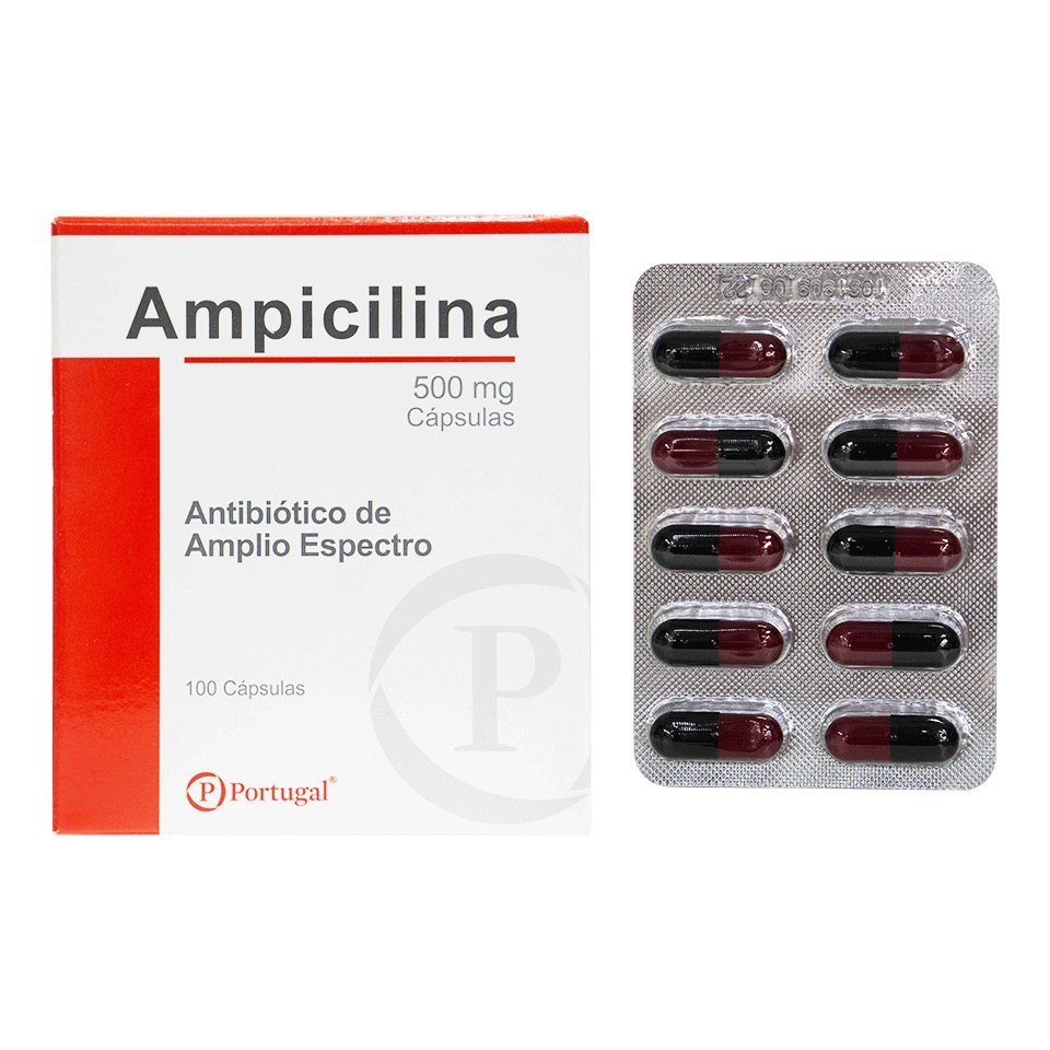 AMPICILINA