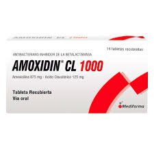 AMOXIDIN CL 1000